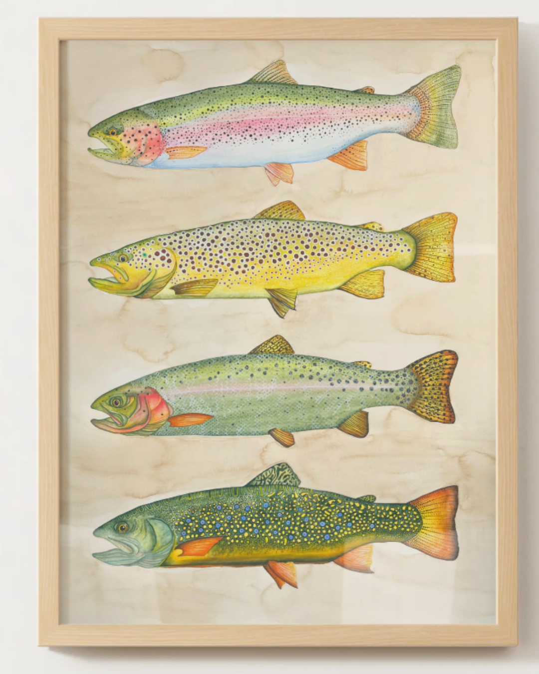 An Idaho Trout Study