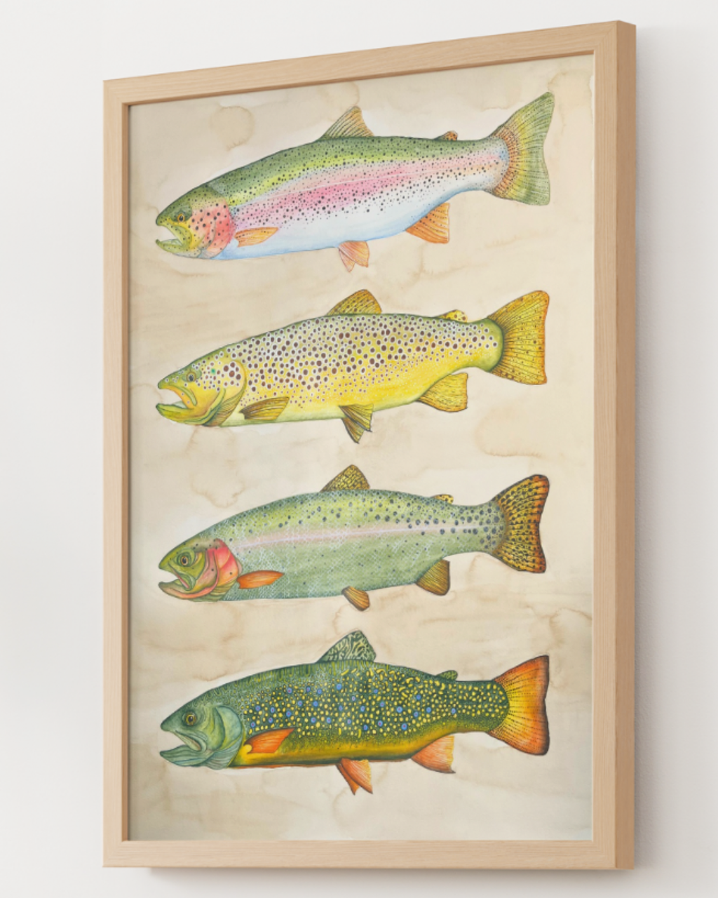An Idaho Trout Study