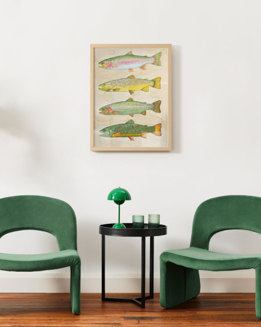 An Idaho Trout Study