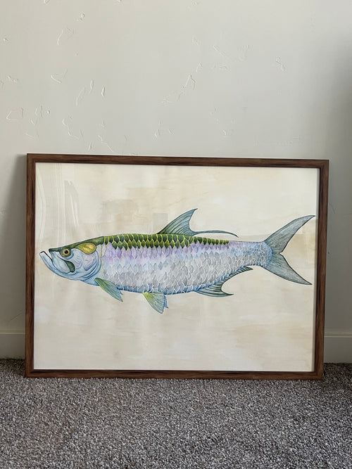 A Tarpon Field Study
