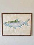 A Tarpon Field Study