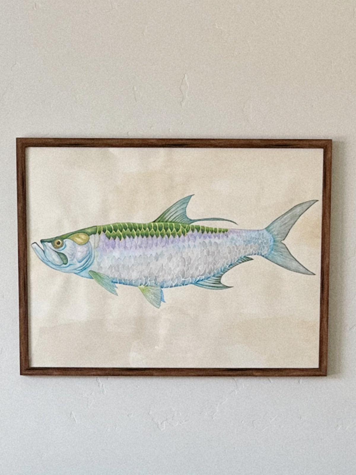 A Tarpon Field Study